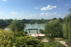 IMG_0522
