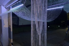 IMG_4969