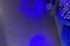 IMG_5798