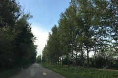 IMG_4667