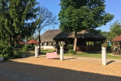 IMG_0845