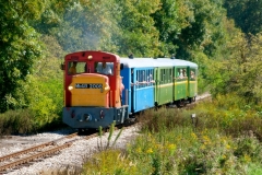 005_kulonvonat