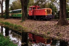 IMG_105325354407554