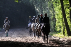 a_francia_chantillyban_csodalatos_kornyezetben_es_palyakon_dolgozhatnak_a_lovasok