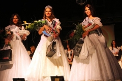 A Miss Alpok Adriamagyarországi döntője,A Miss Alpok Adriamagyarországi döntője