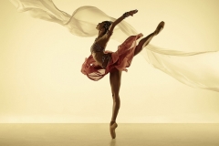 cropped-robyn_hendricks_in_la_bayadere_the_australian_ballet_2014_photographer_georges_antoni_cropped_1431382331