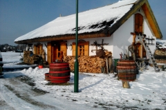 IMG_20140126_132103