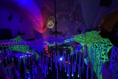IMG_0020