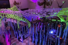 IMG_0051