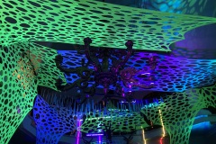 IMG_0088