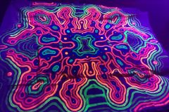 IMG_3292