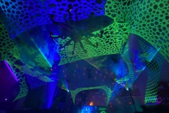 IMG_9857