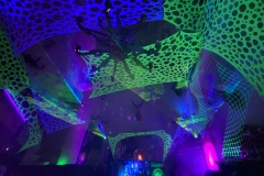 IMG_9858