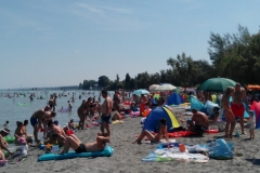 IMG_20140720_105743